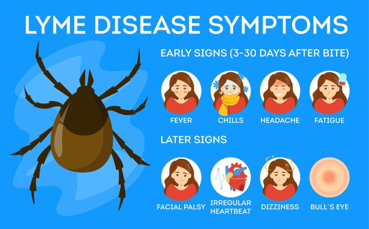 Tiny Ticks, Big Trouble