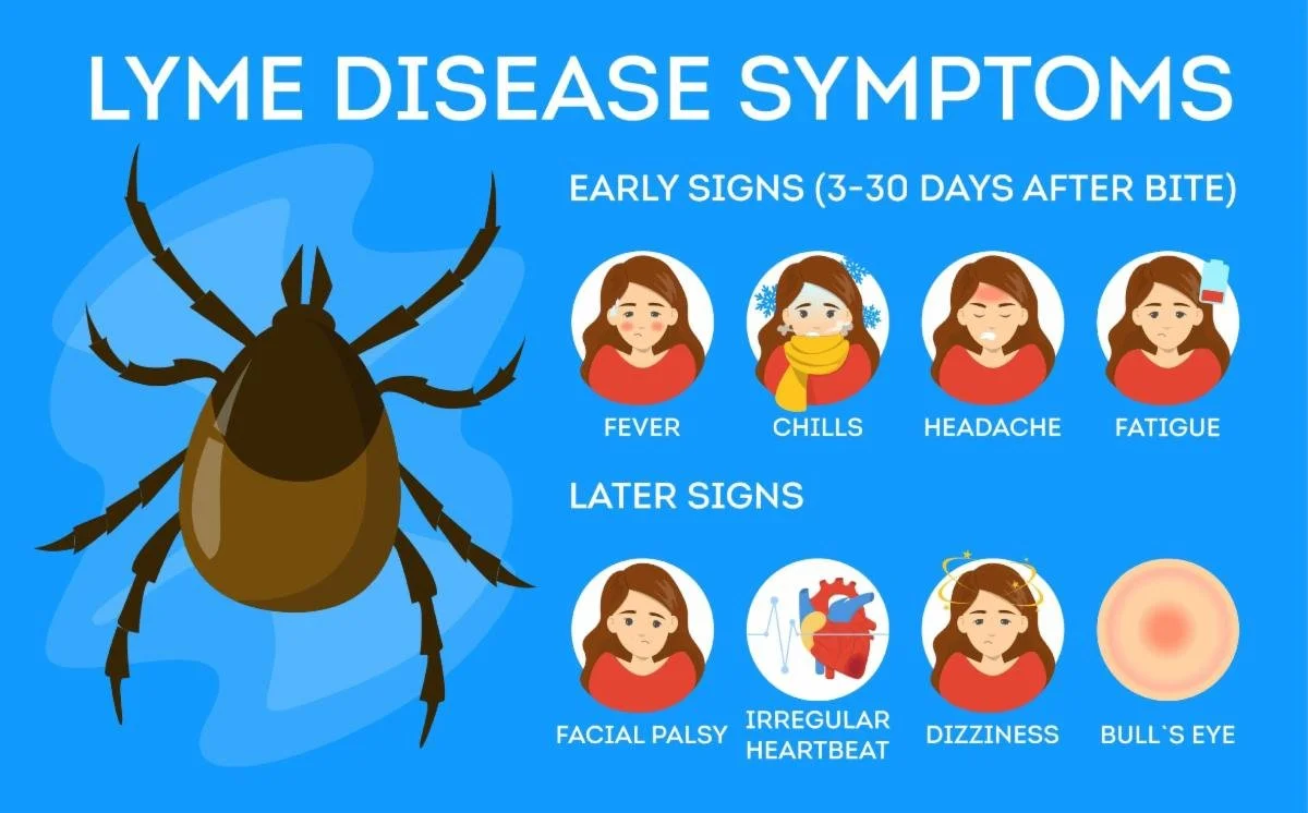 Lyme Disease Symptoms