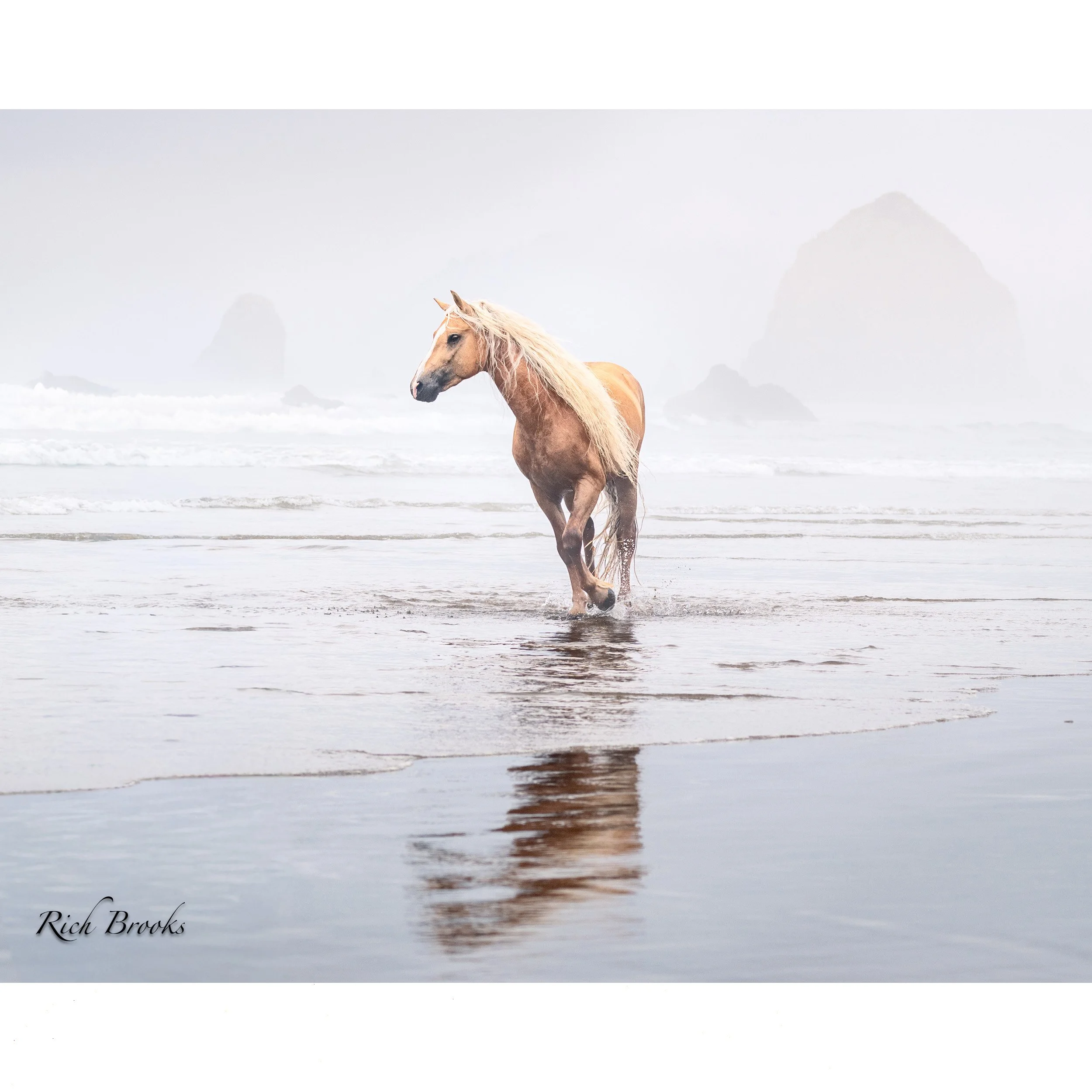Iconic in the Surf