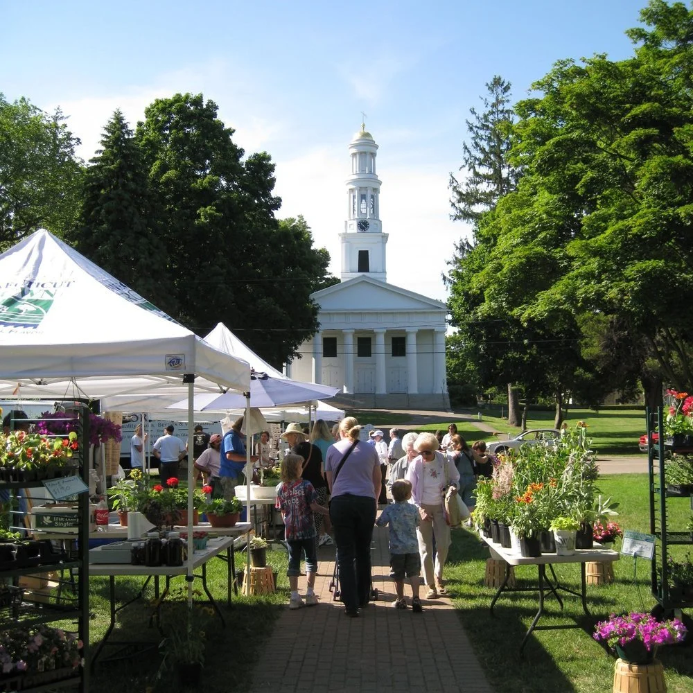 Madison Town Green.jpeg