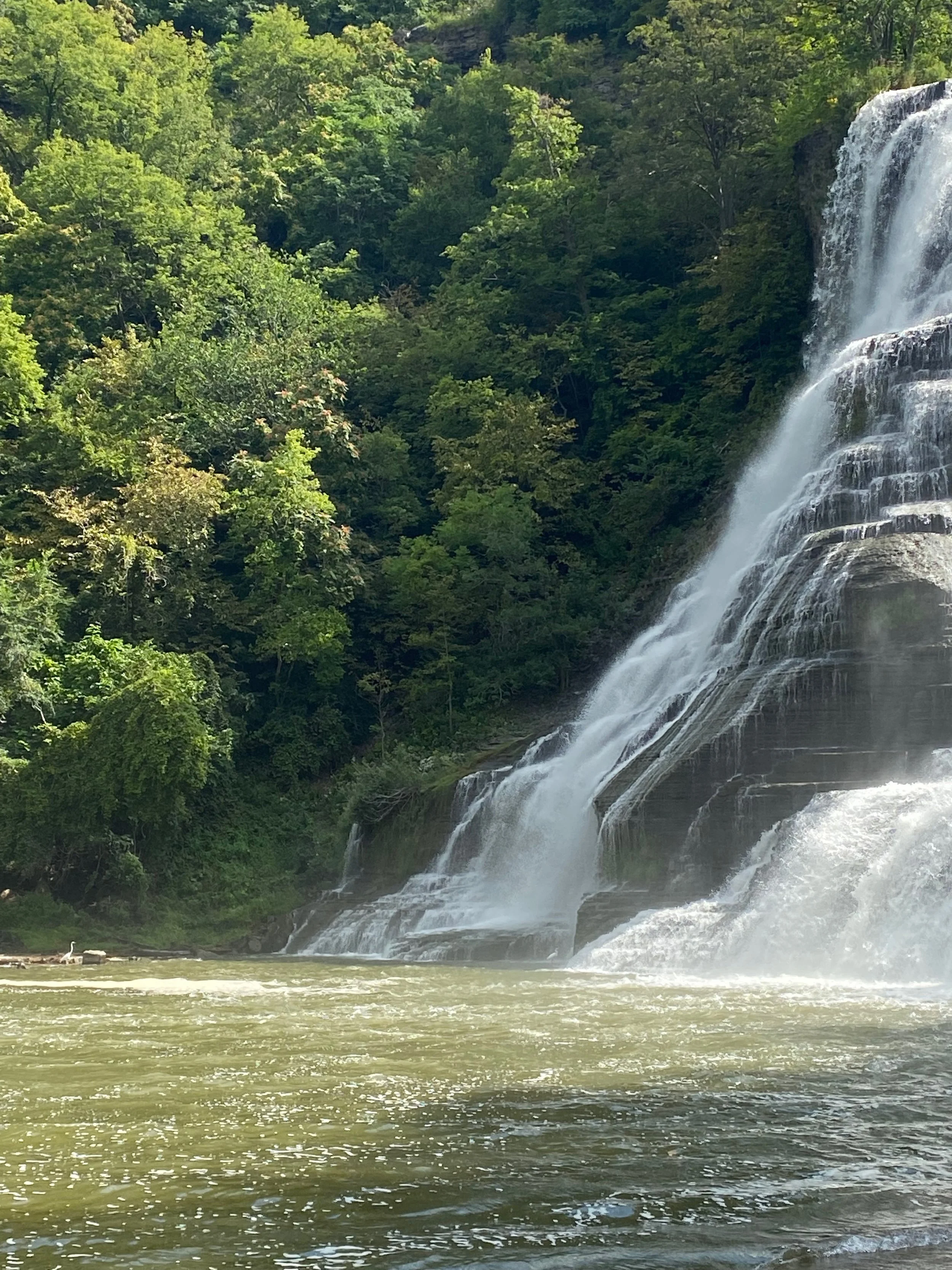 Top 10 Things to Do in Ithaca as a New Cornell Student