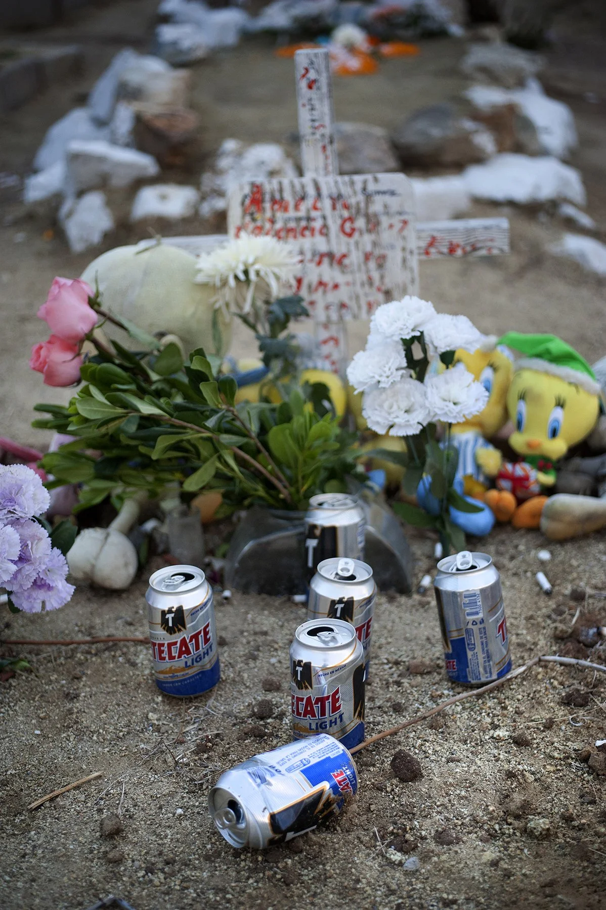  Tijuana, Mexico (2013)   