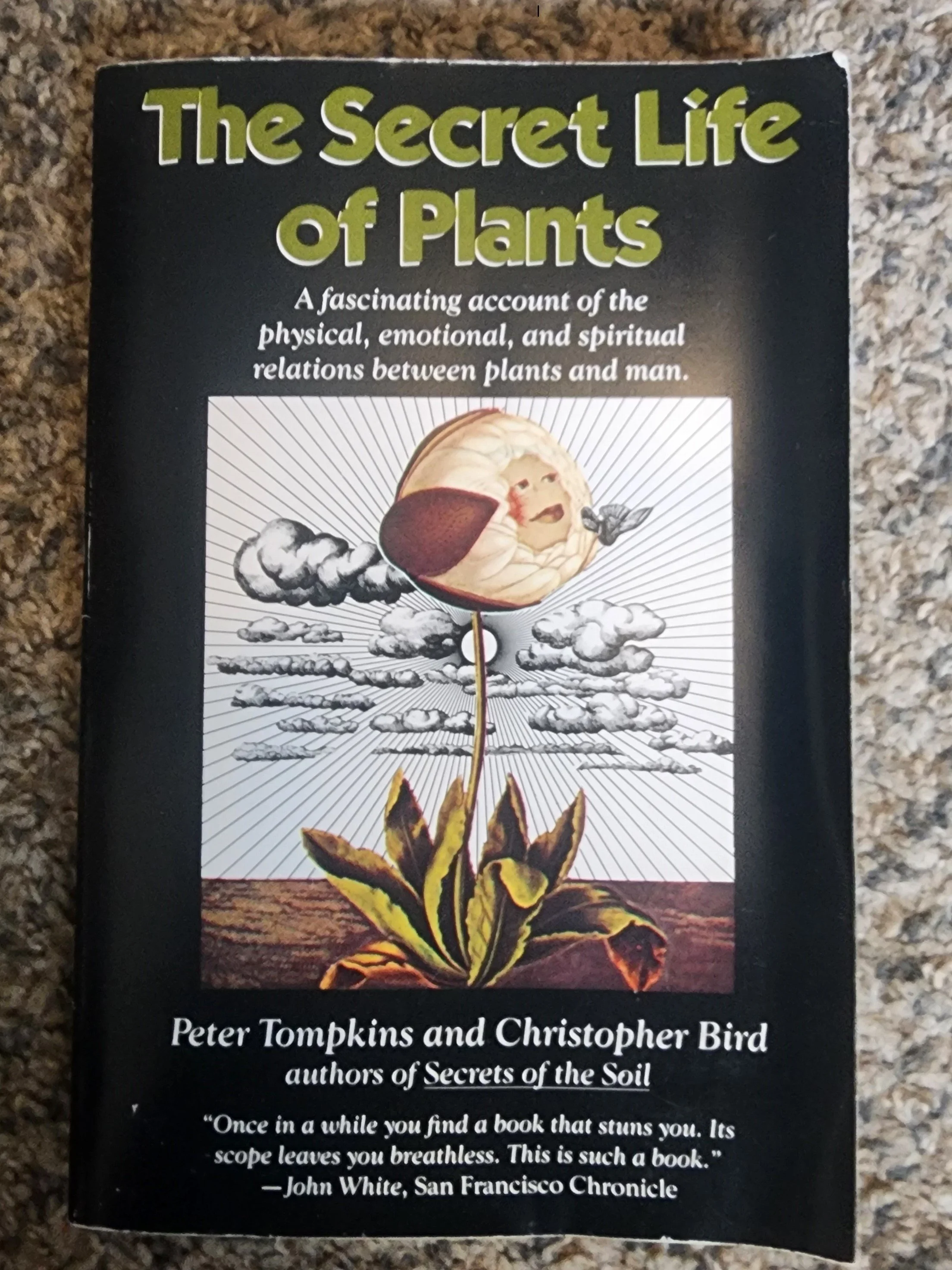 Secret Life of Plants