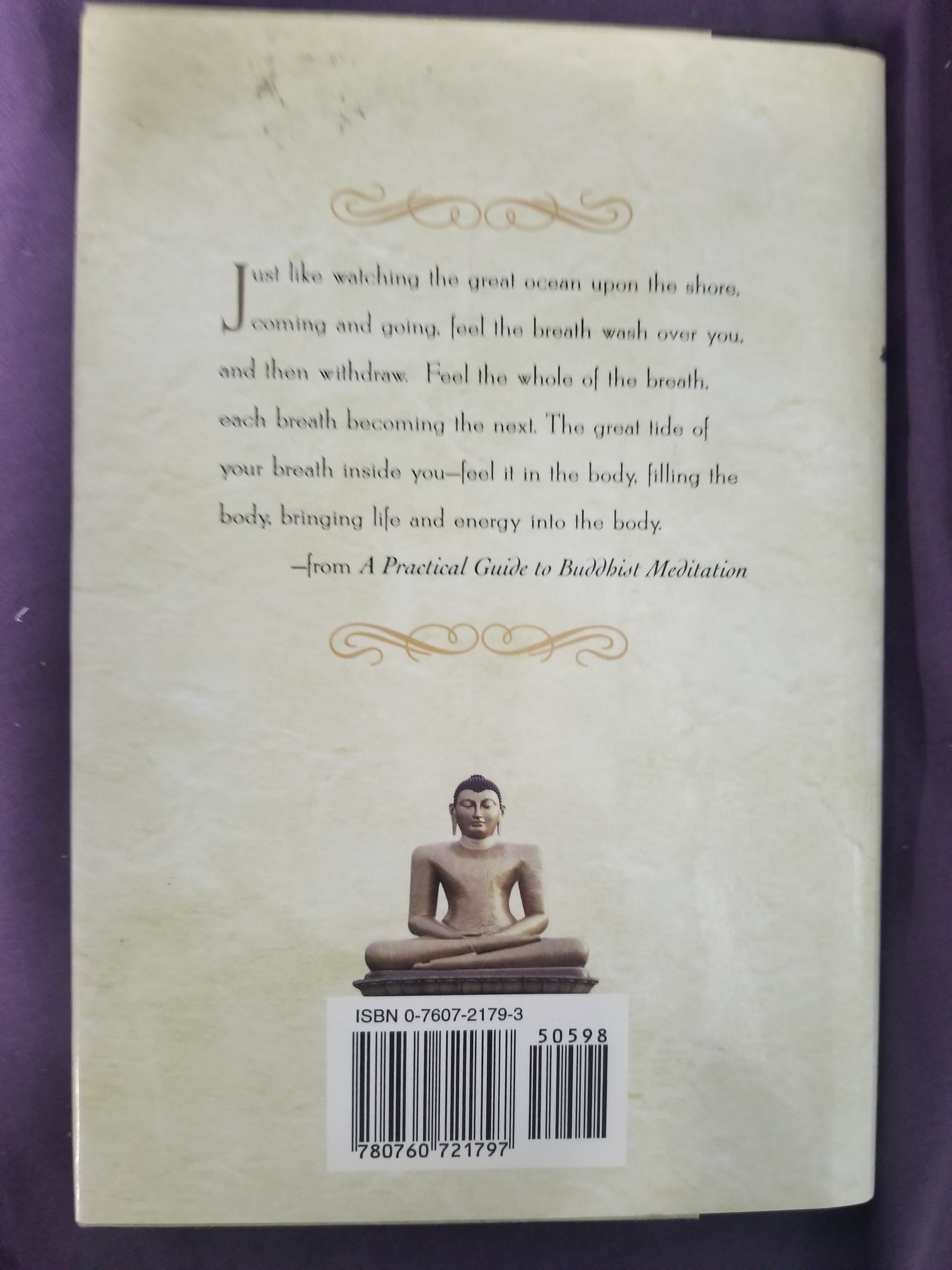 buddhistmed2.jpg