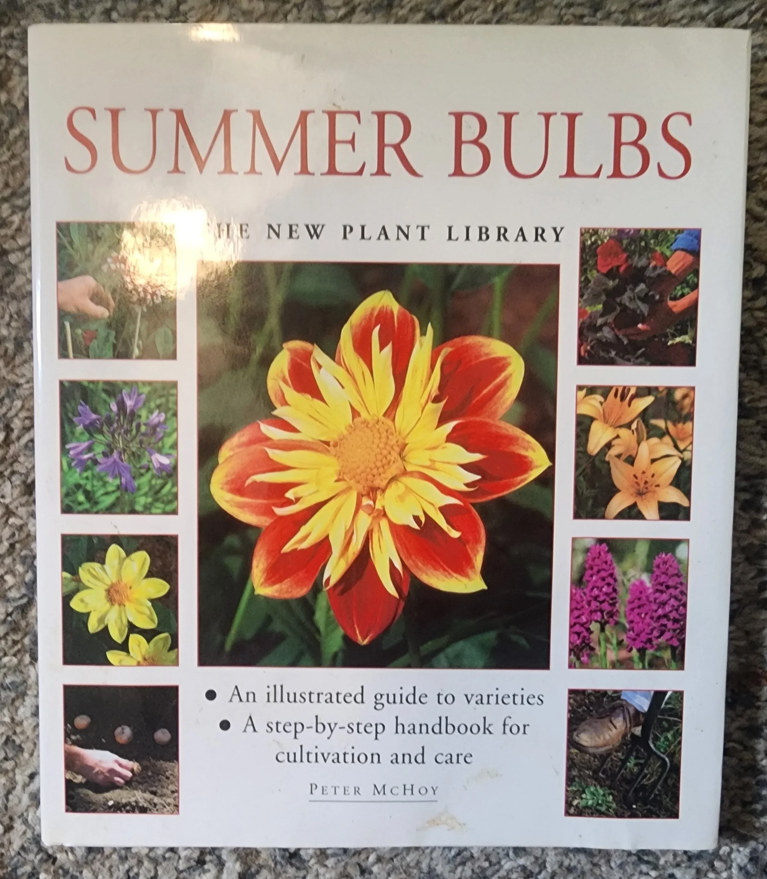 20251227_143214 (1).jpg