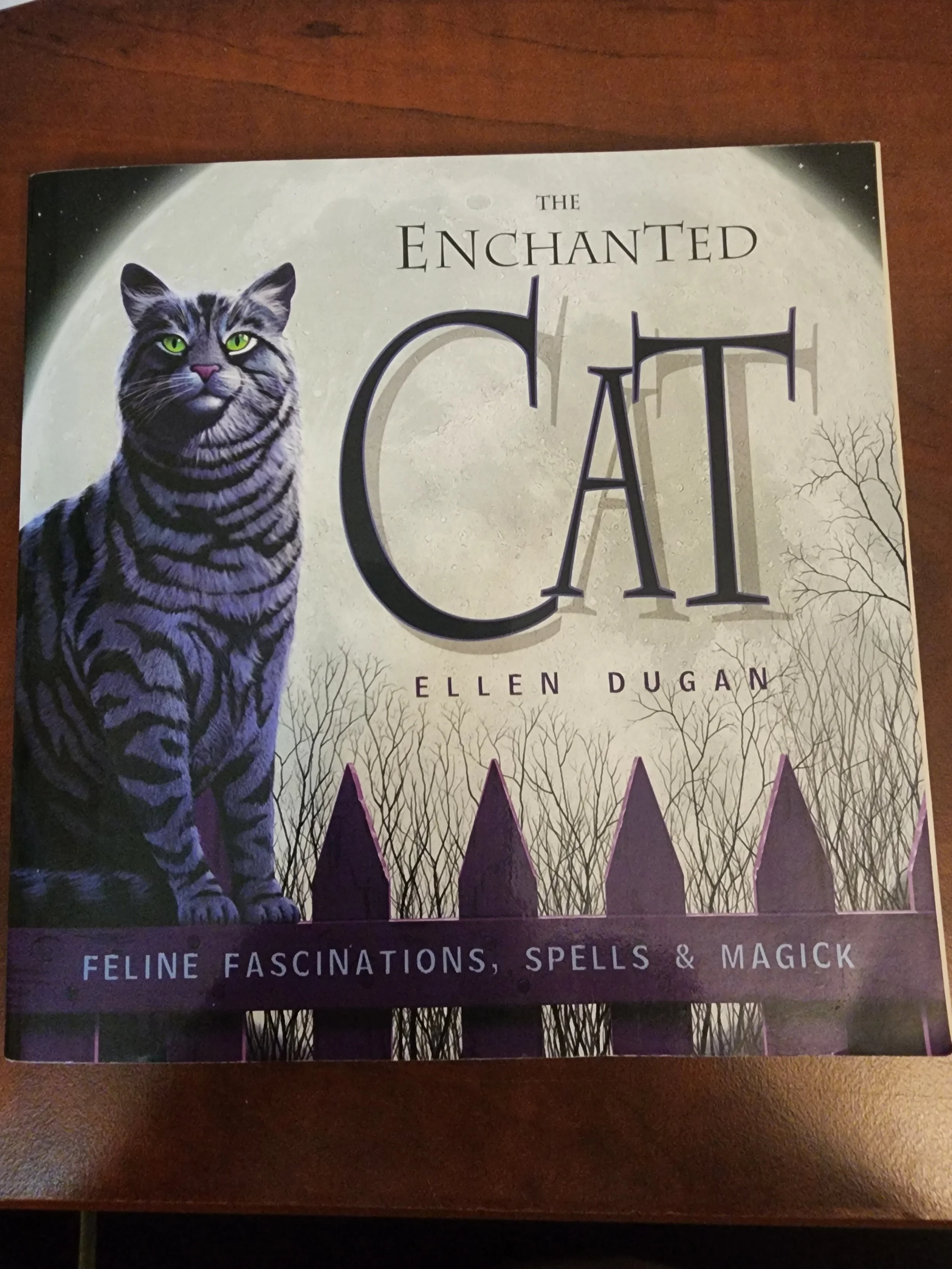 Enchanted Cat: Feline Fascinations, Spells & Magick