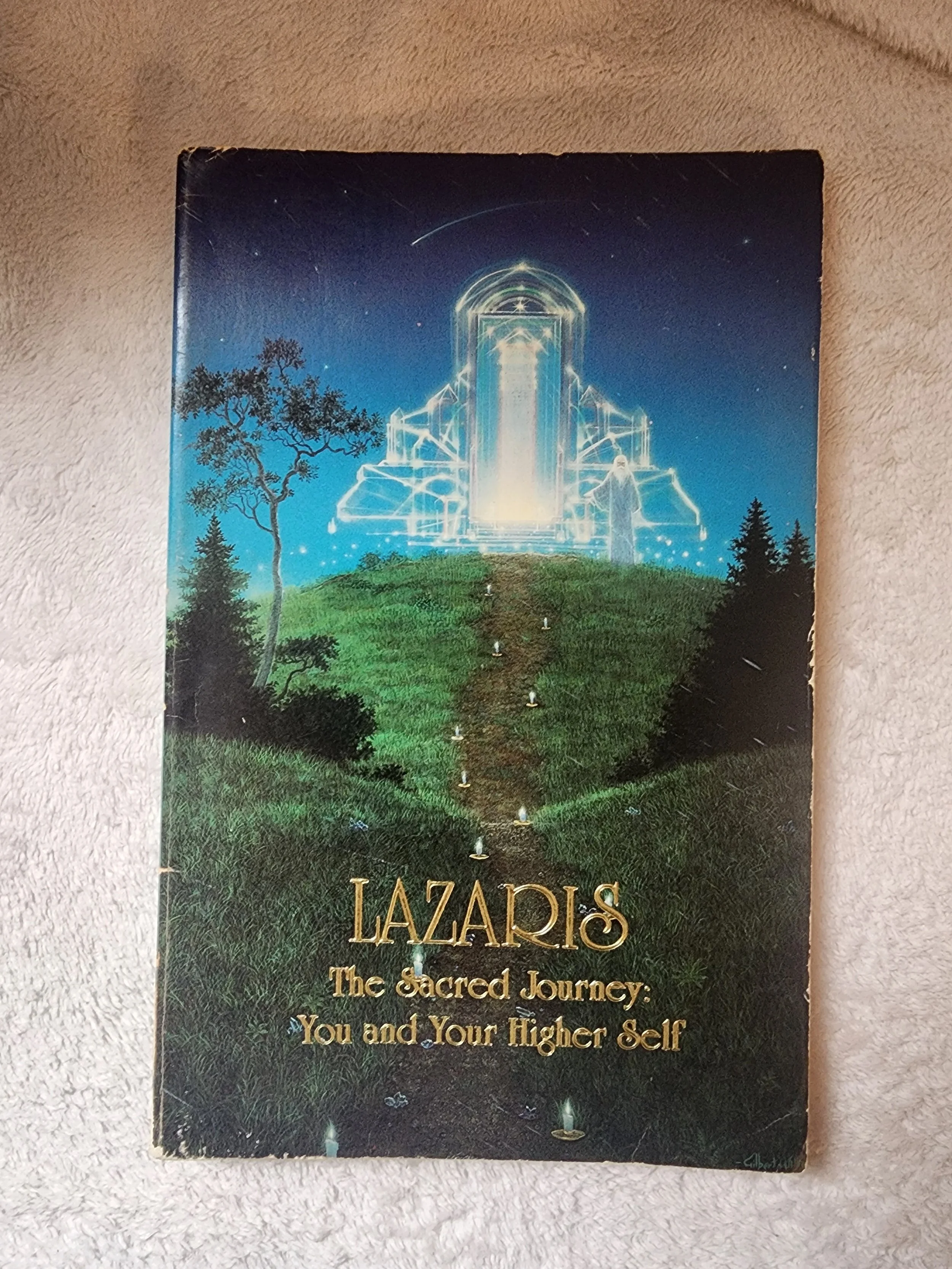 The Sacred Journey: You and Your Higher Self.