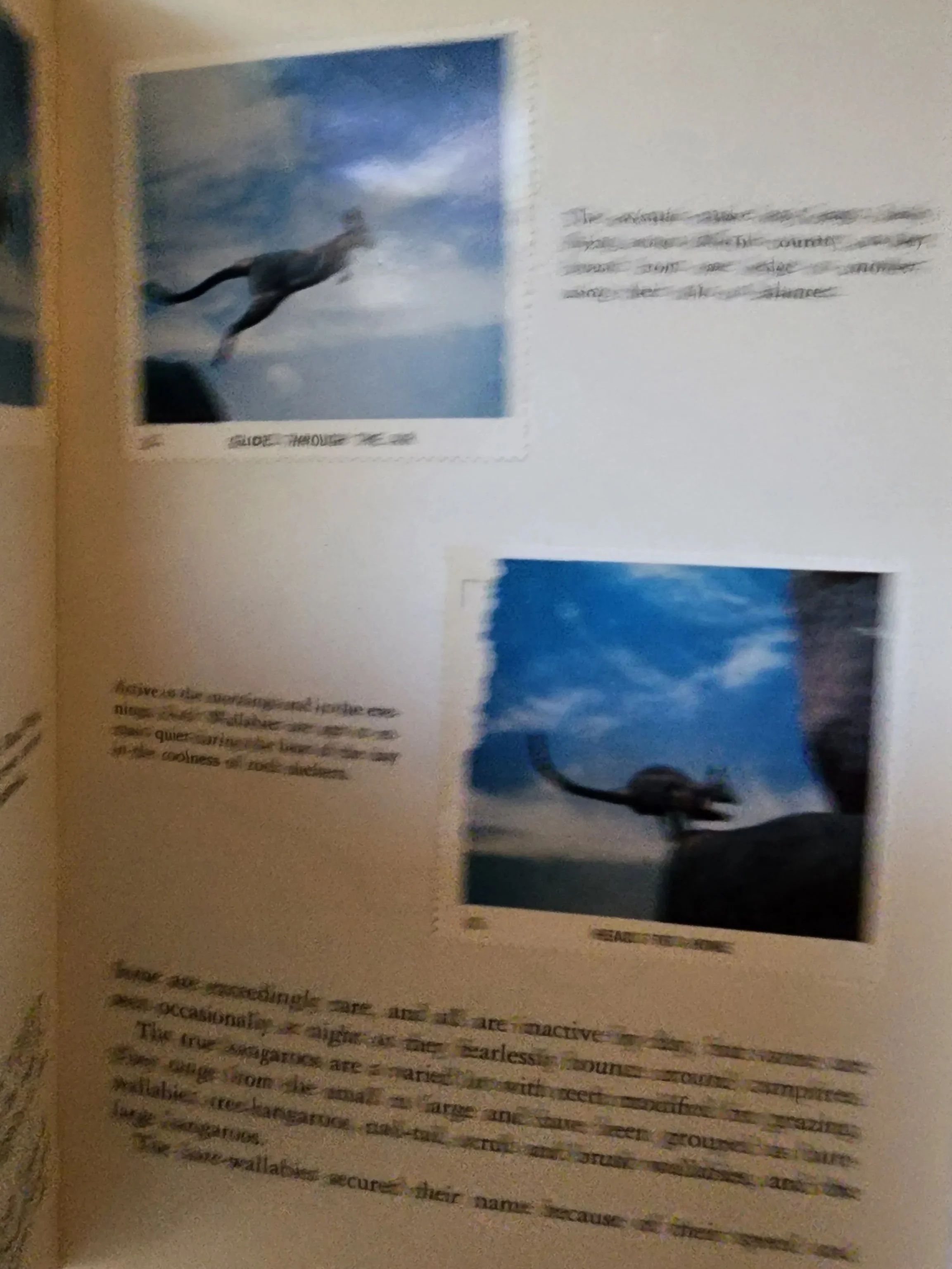 20260515_172200.jpg