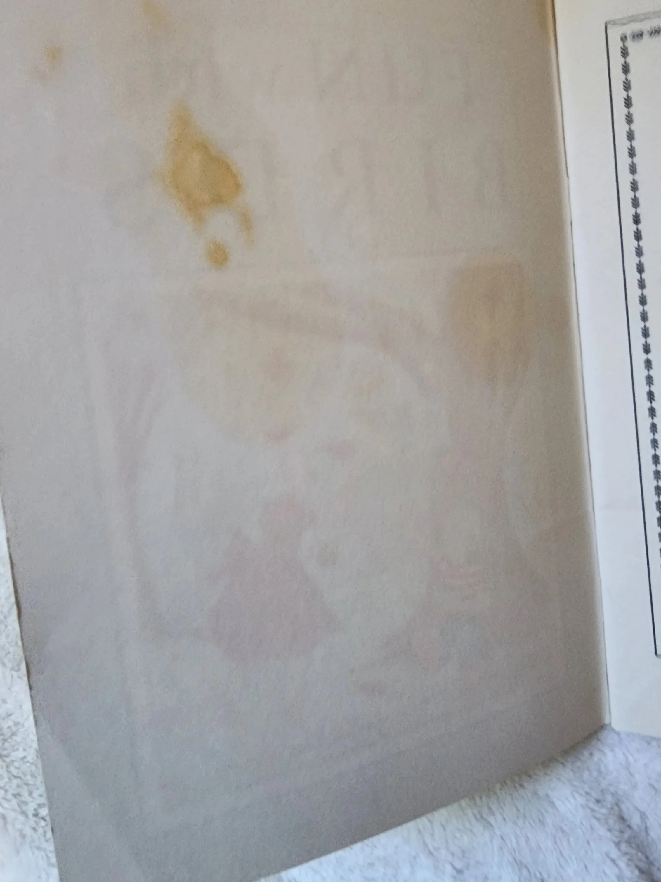 20260515_172624.jpg