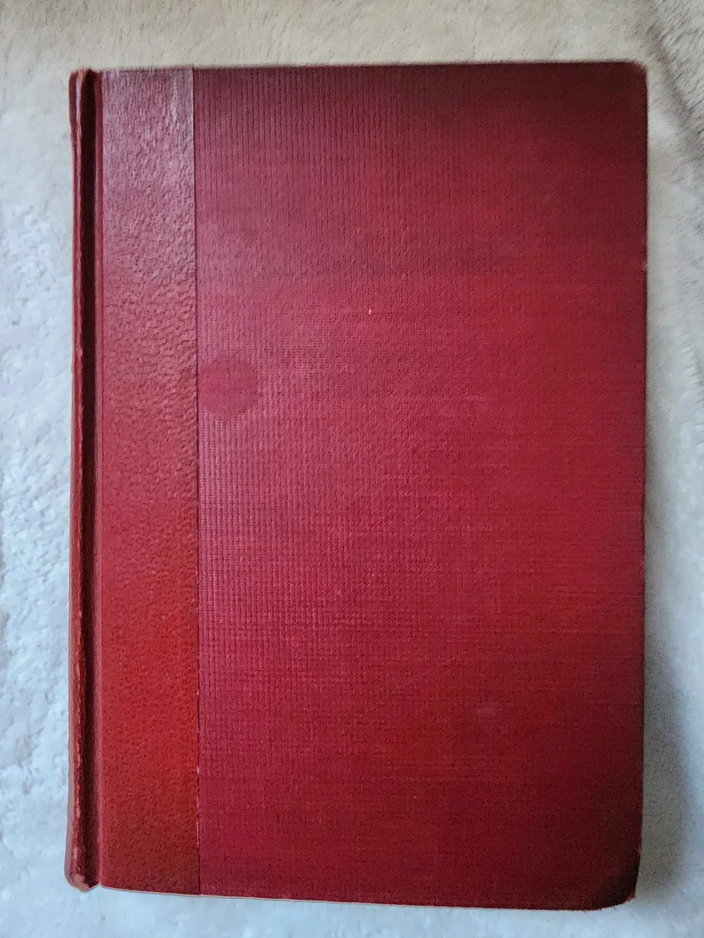 20260510_141136.jpg