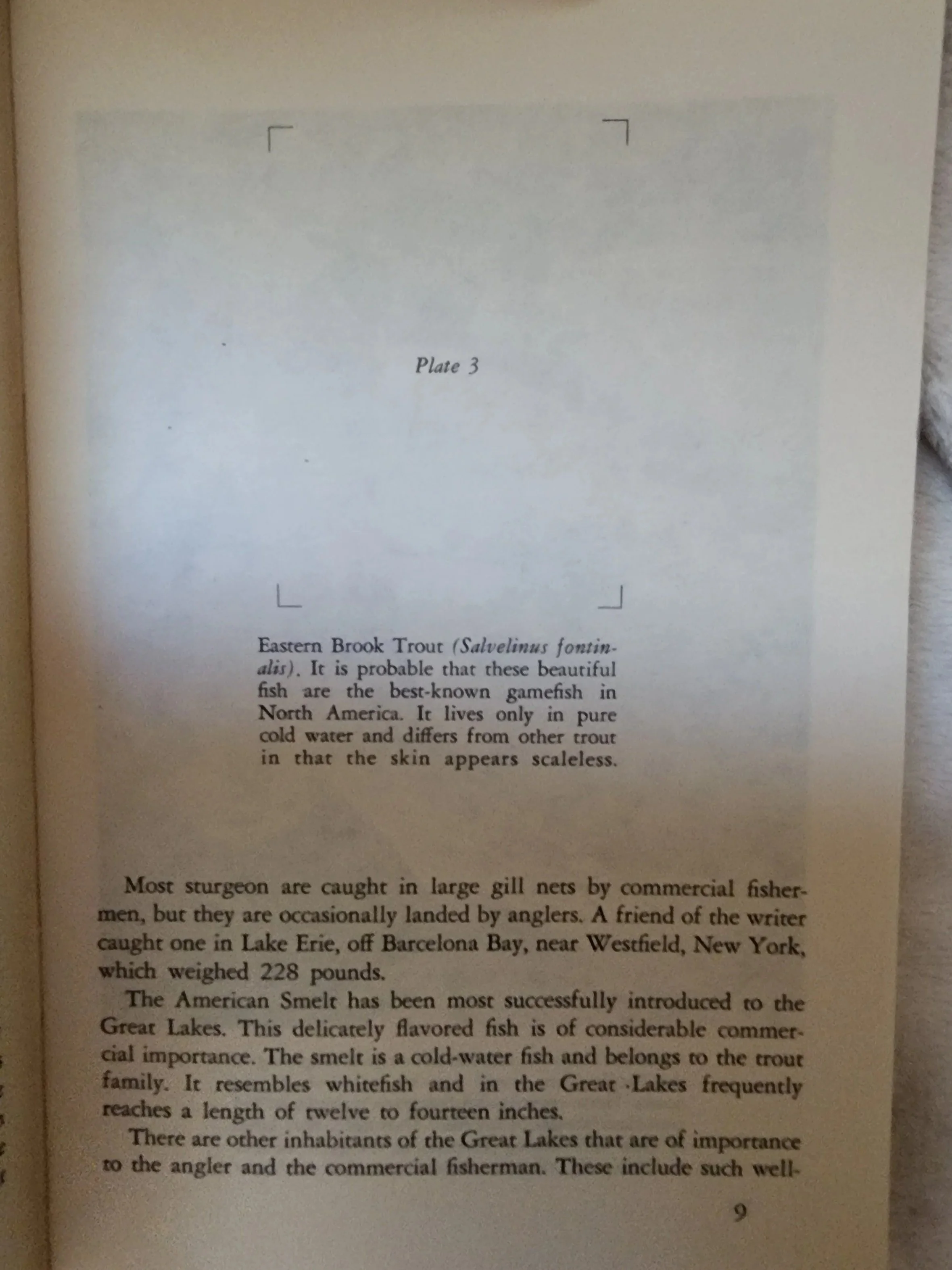 20260515_172446.jpg