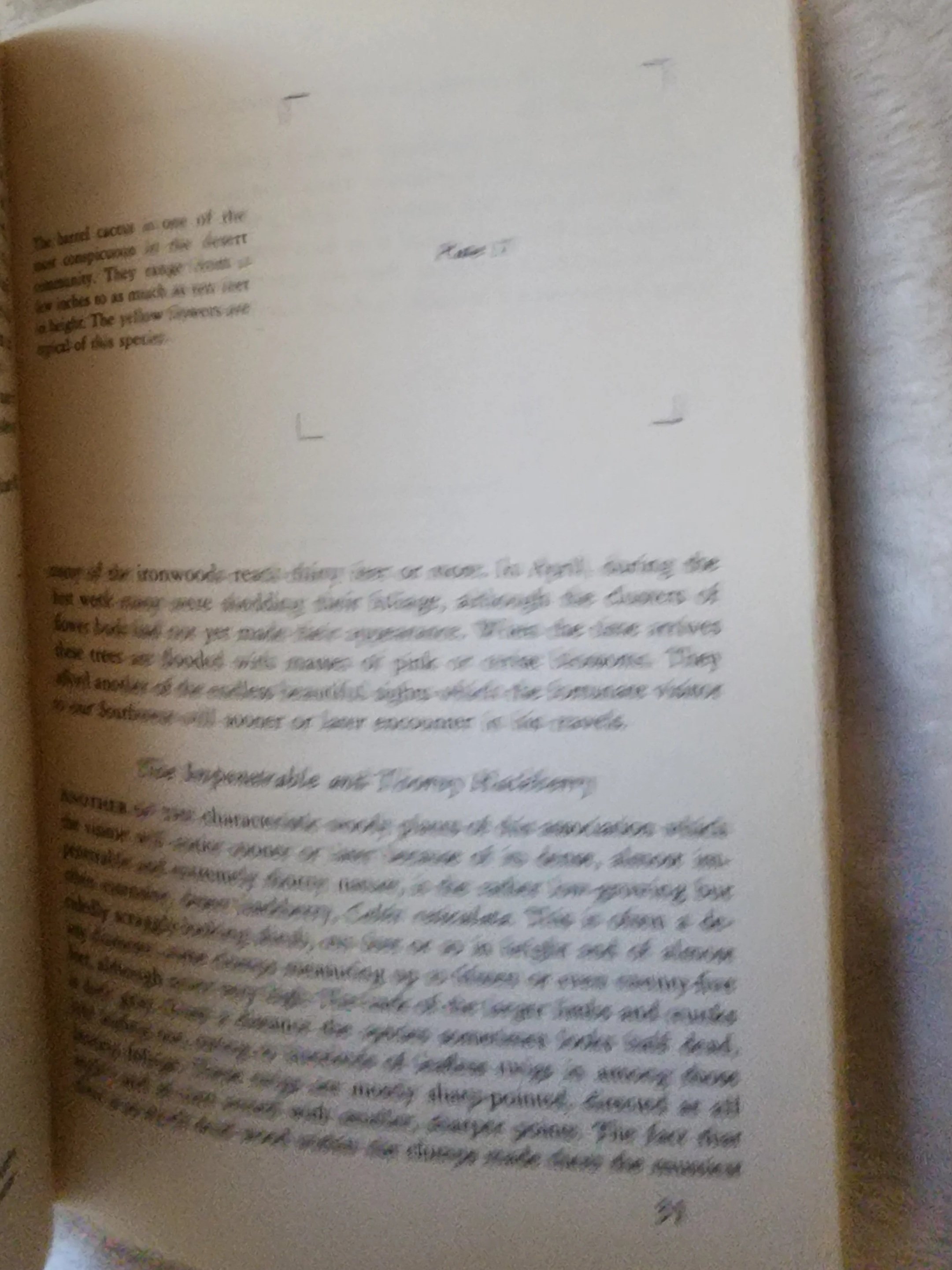20260515_172242.jpg