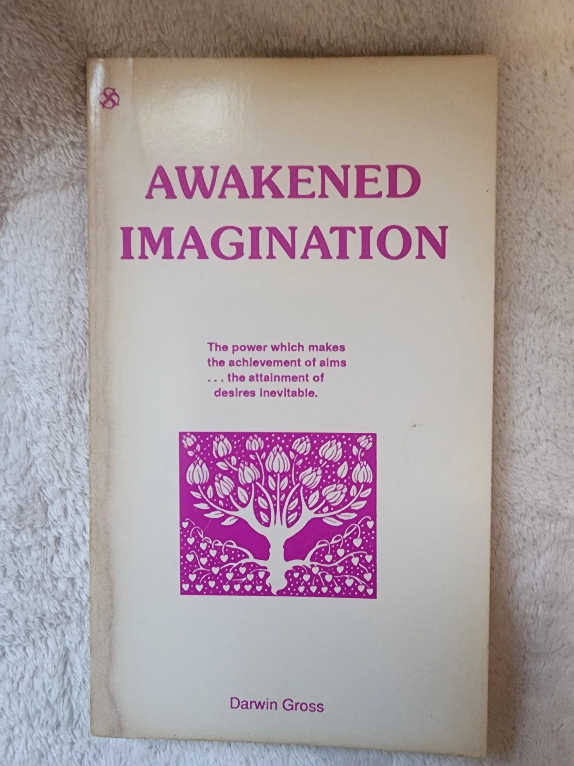 Awakened Imagination