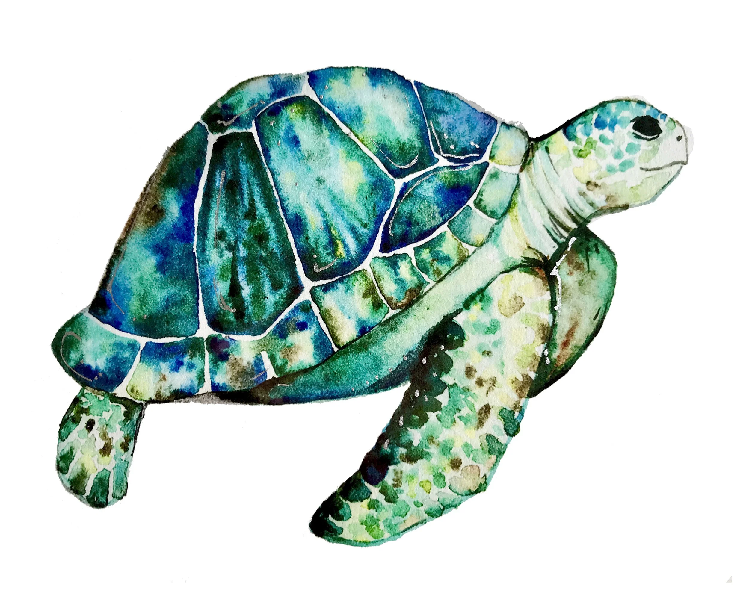 Sea Turtle Print — Aquabun