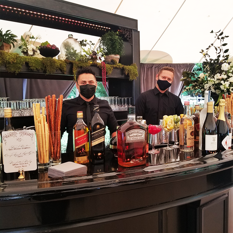 bar1.png