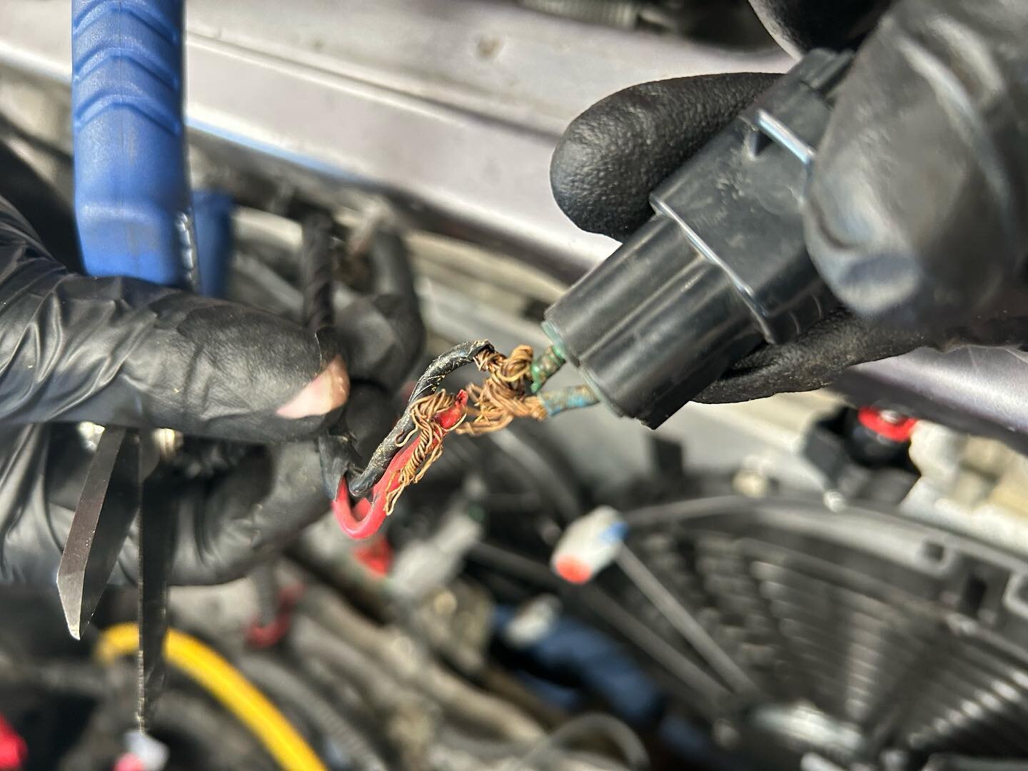 This plus a bunch of electrical tape is all we found holding this fan circuit together on this #mazda #rx8. Good thing we were doing rewiring work to install these new fans. #arhindrichsllc #houston #texas #cypresstexas #thatmiatashop #mazdarx8 #wiri