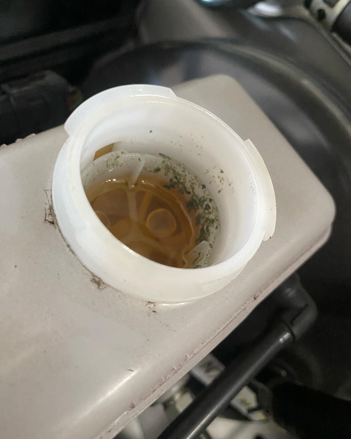 Somebody ordered some pesto with their brake fluid? This is a new one and on a new car at that. Only 15k miles on this #NDmiata and it has this green stuff in the brake reservoir. #arhindrichsllc #houston #texas #cypresstexas #thatmiatashop #houstonm