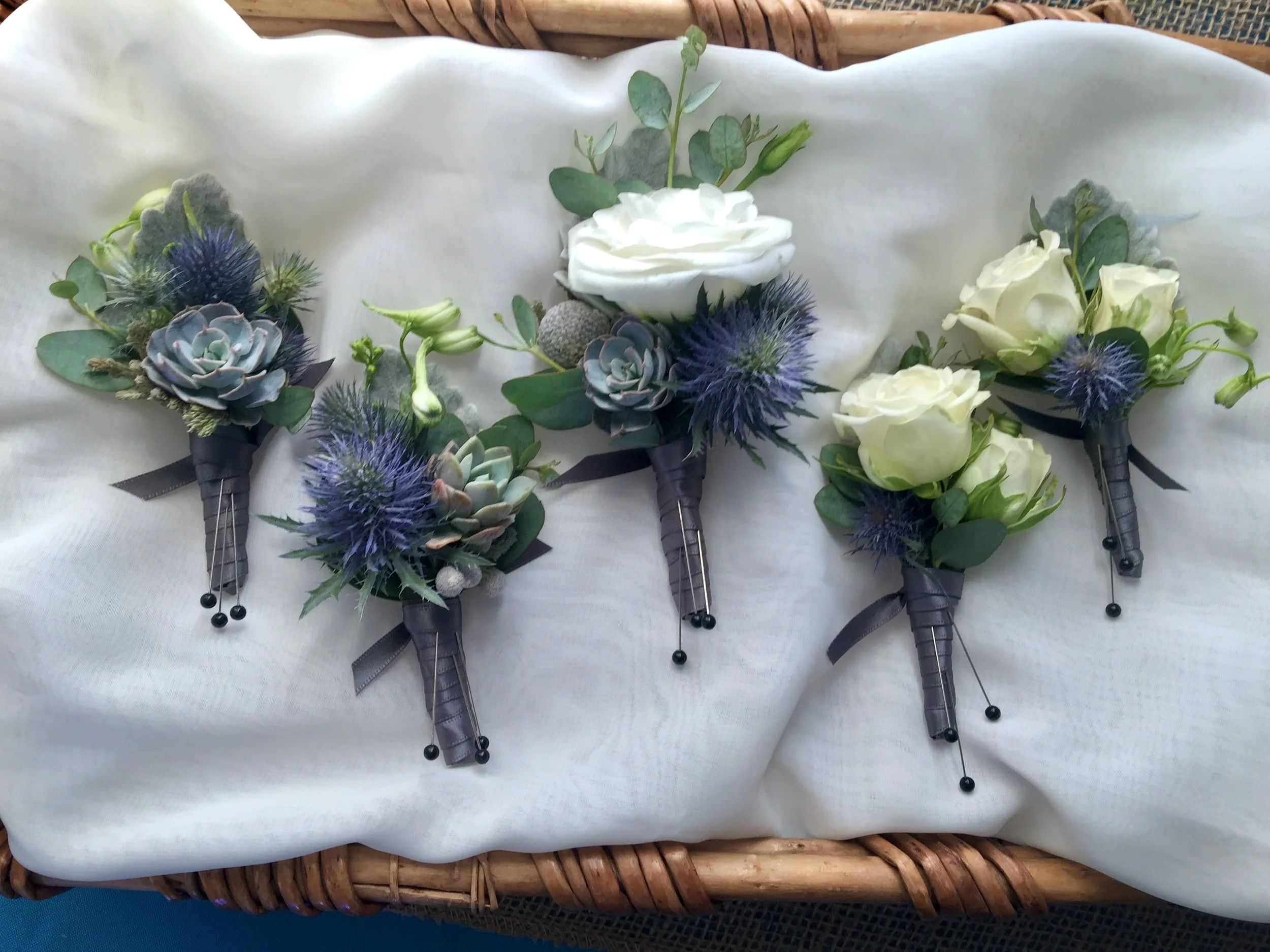 thistle and succs bouts copy.JPG