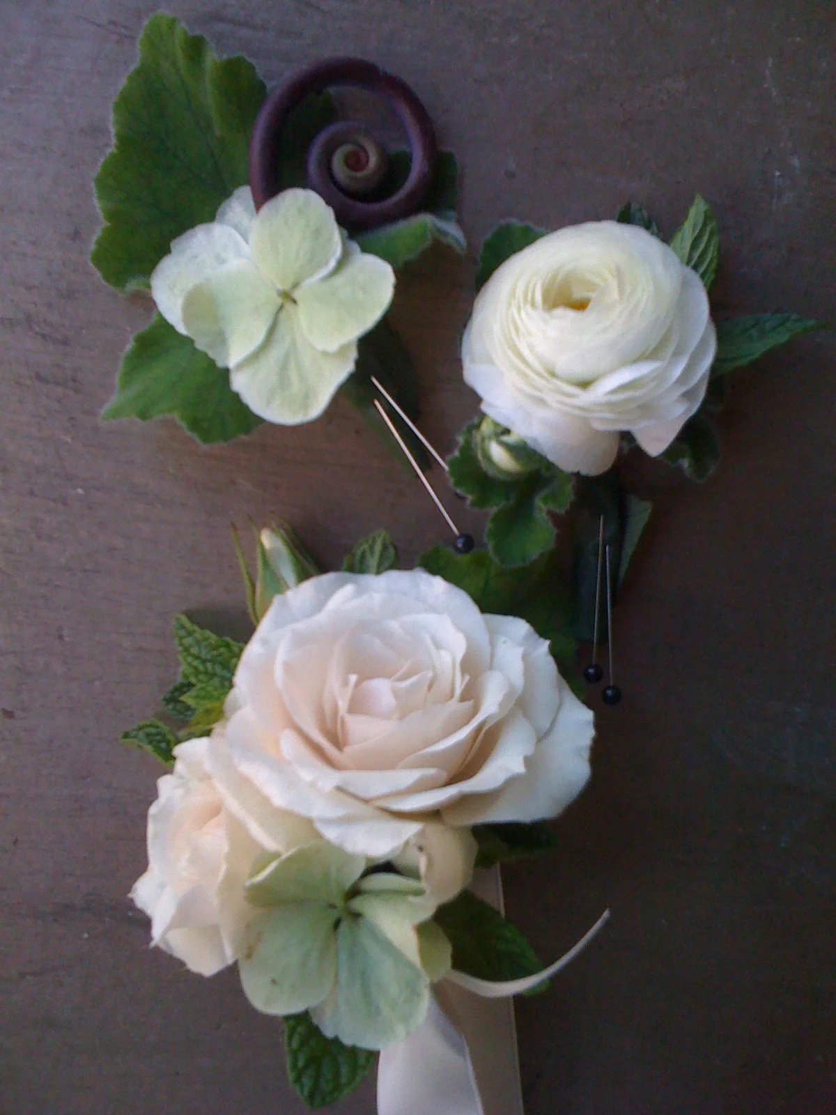 3 from Asrai copy.jpeg