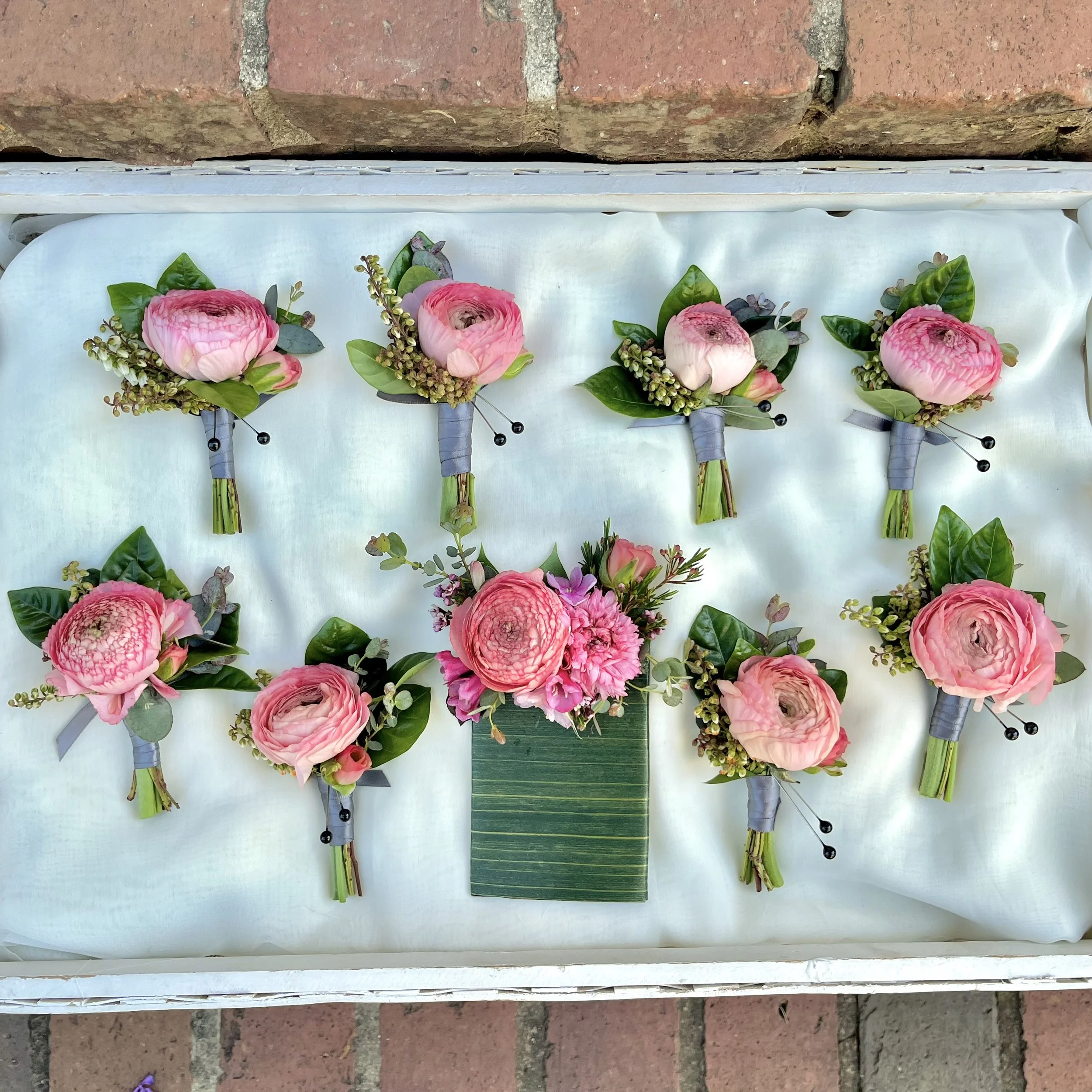 Kater bouts IG copy.jpeg