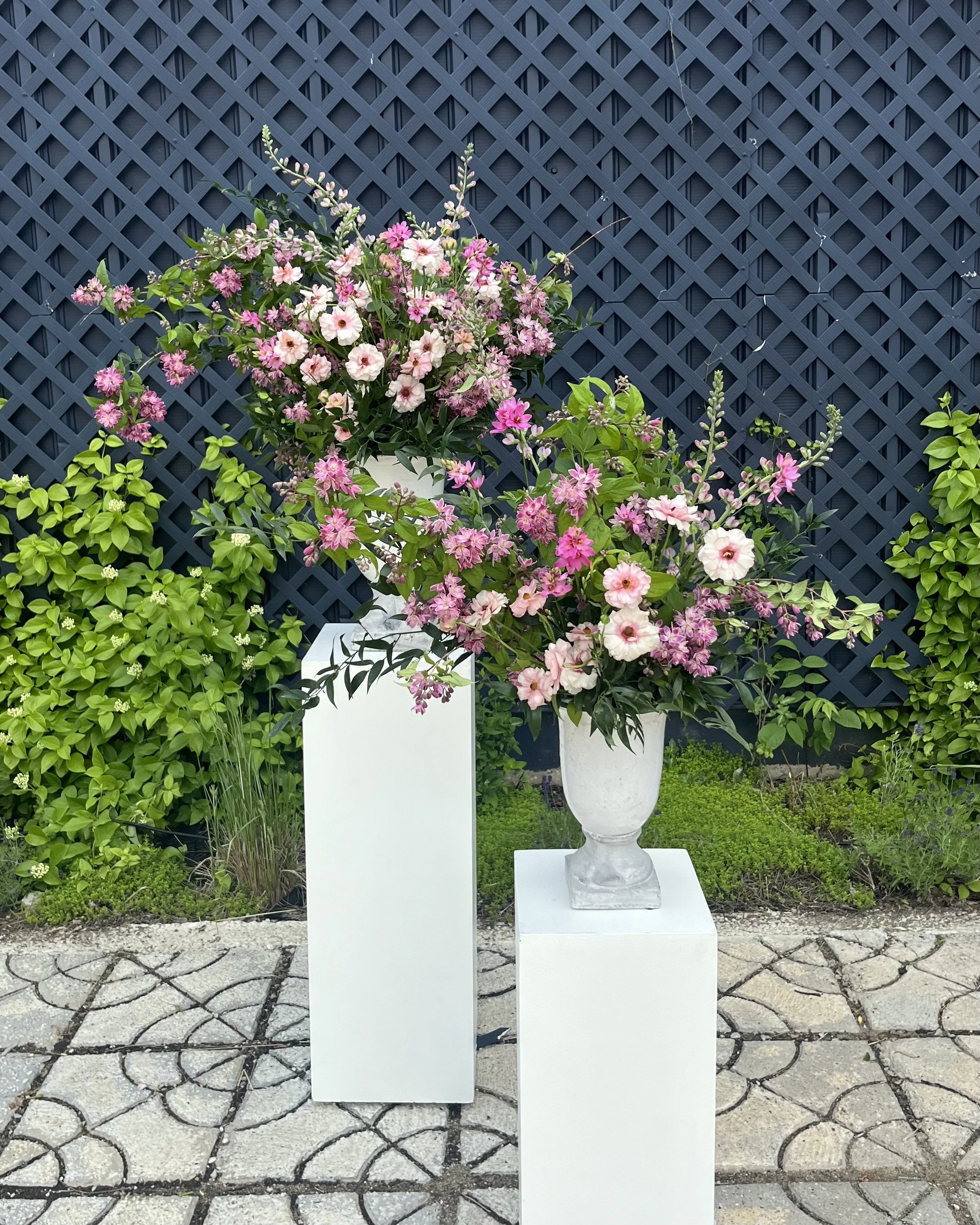 IMG_7939 2 copy.jpeg