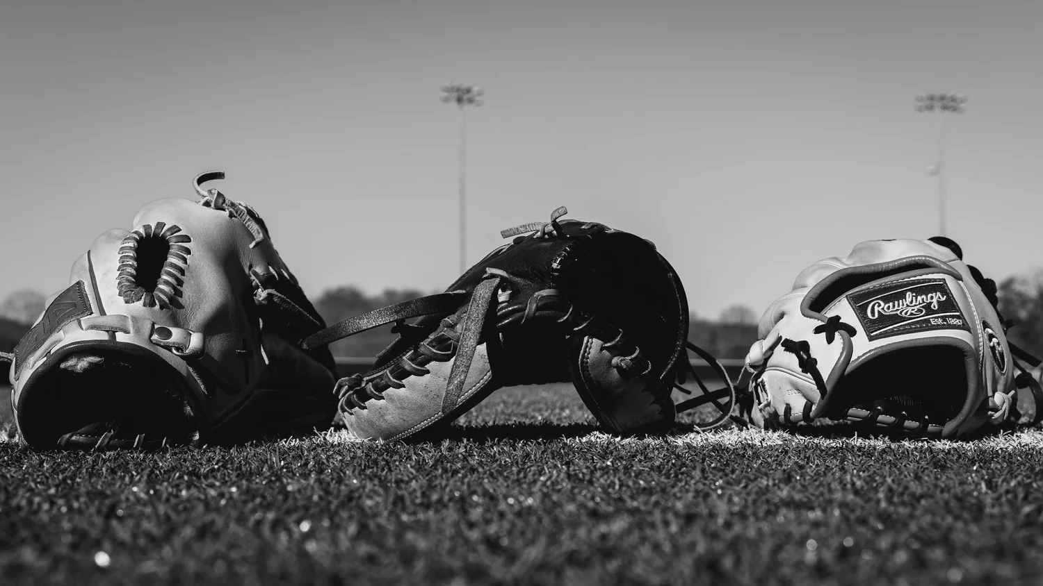 Our Team — The Vault