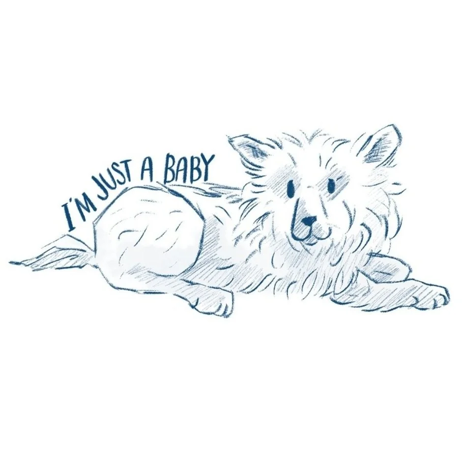 I'm Just A Baby.jpg