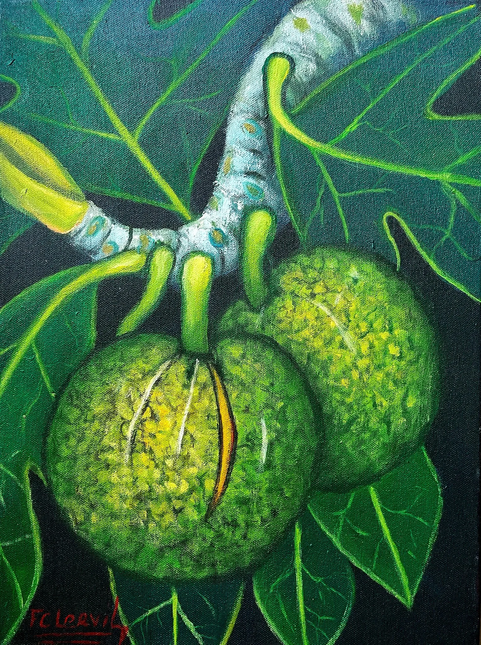 Seeping Breadfruit | Clervil, F. | 12 x 16.jpg