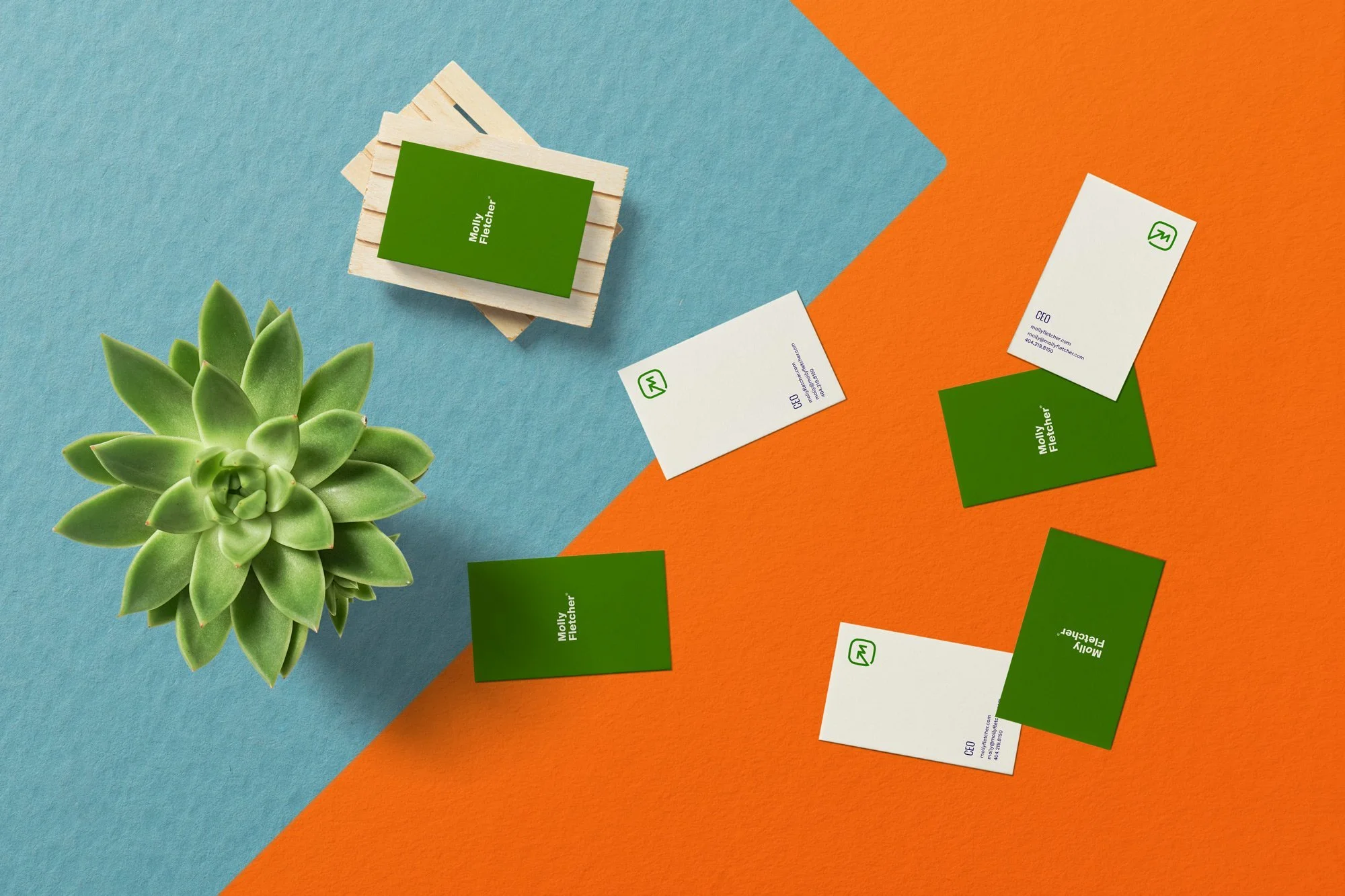 Business-Card-Mockup_1.2.jpg