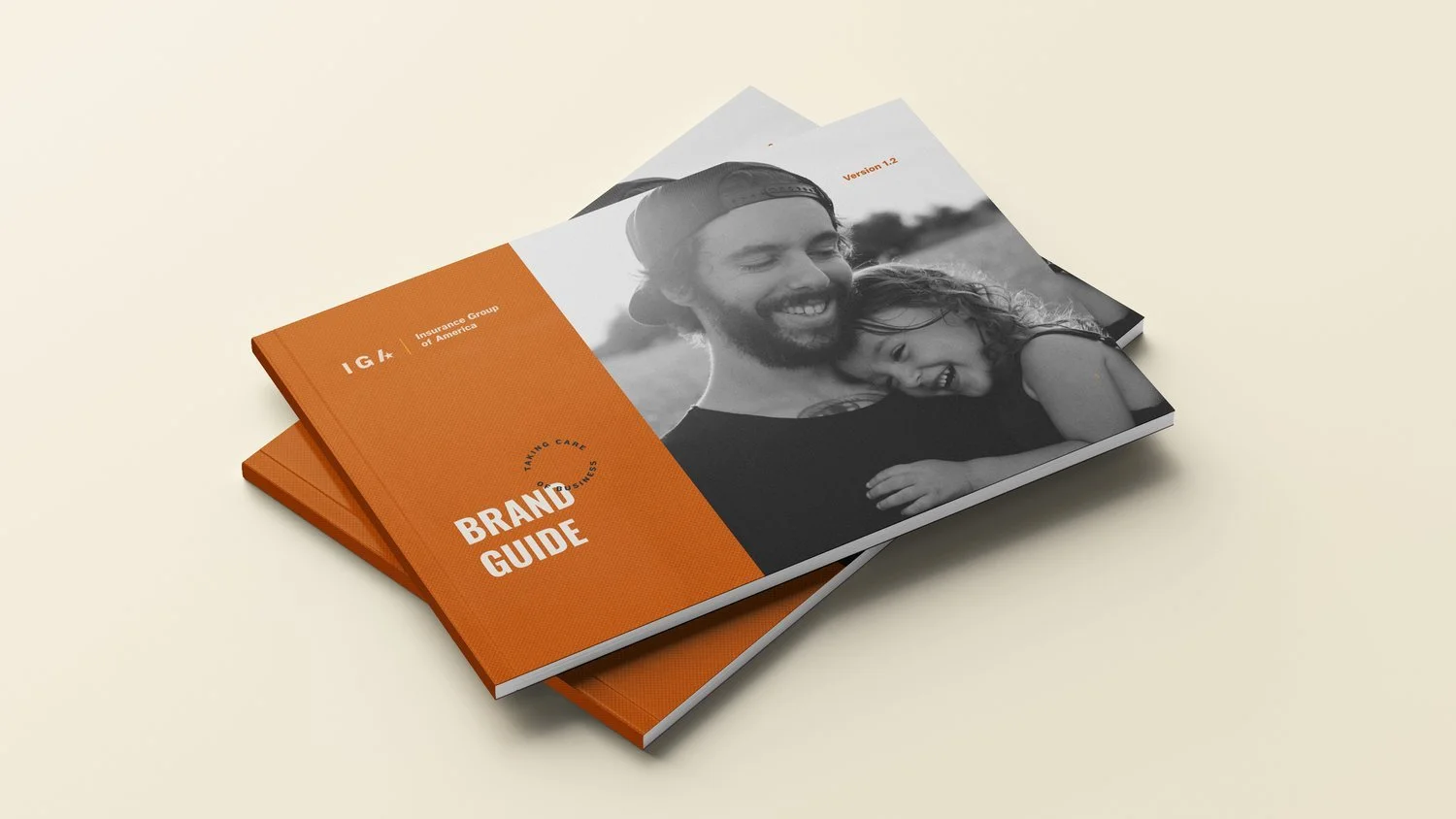 IGA-Brand-Guide_Mockup_wide.jpeg
