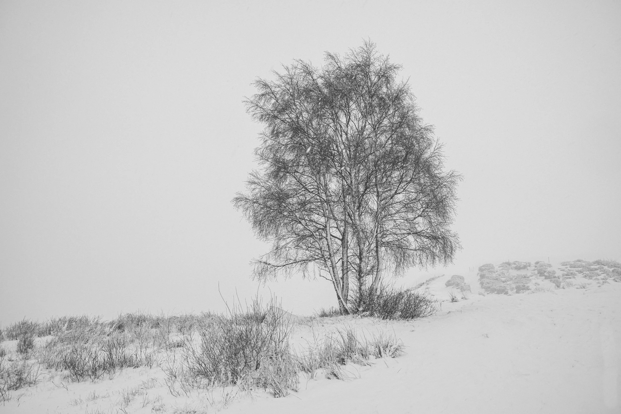 20260110-_DSC1886.jpg
