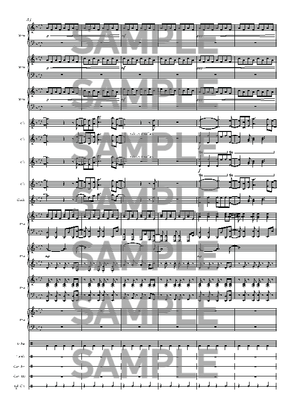 VIVA-HG_SAMPLE_SAMPLE_Page_12.png