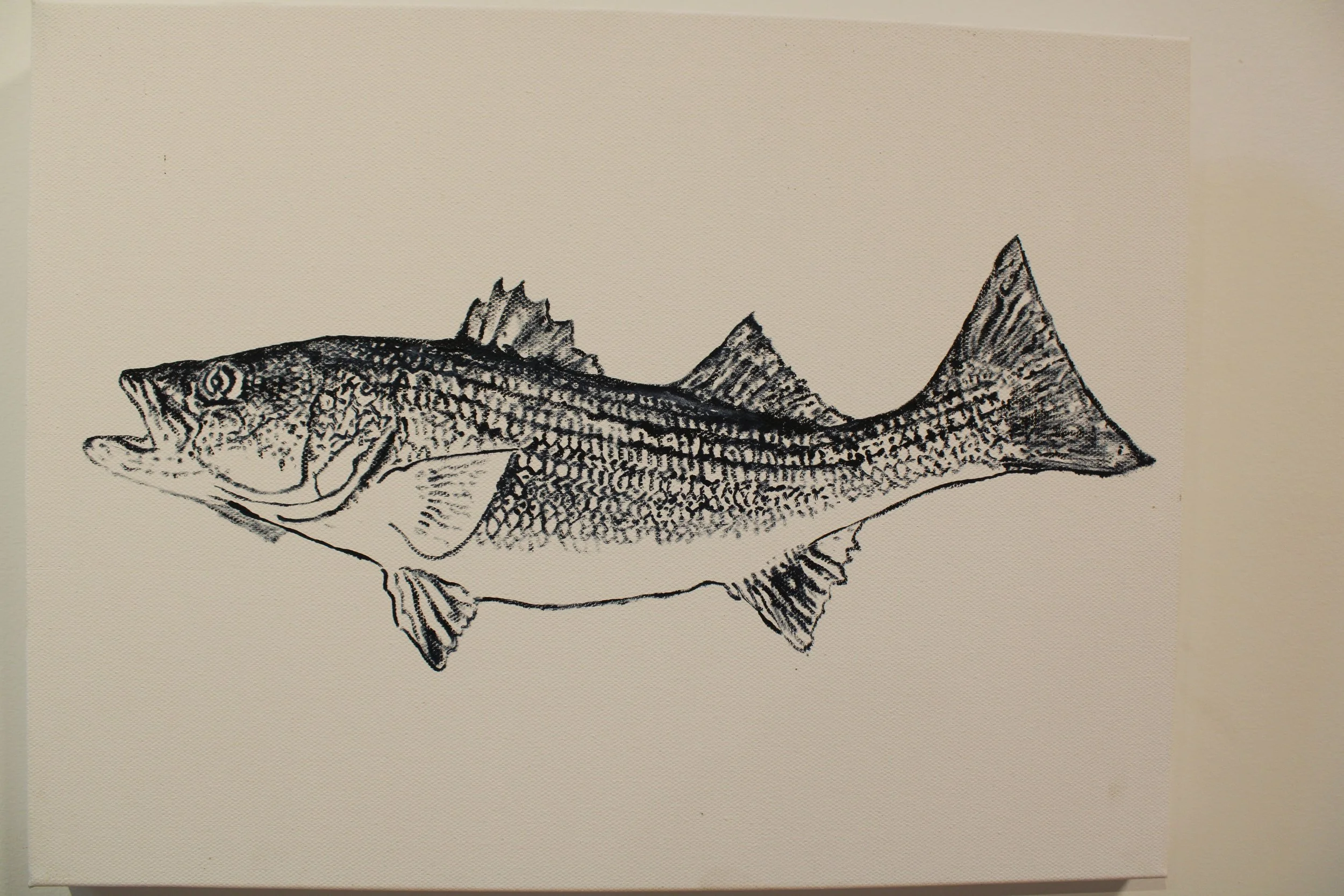 Striper
oil on canvas          12 x 16                  600