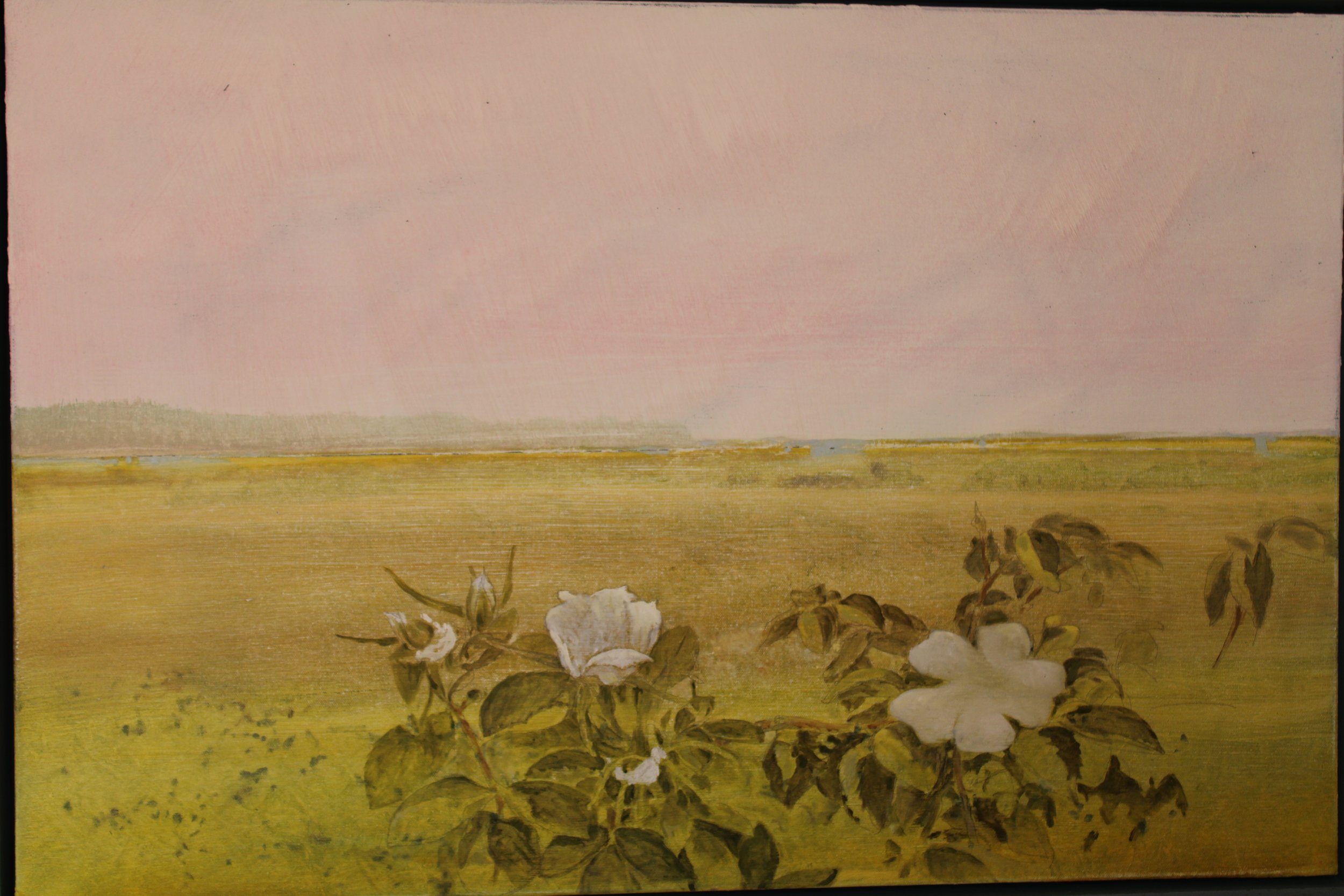 Rosa
oil on canvas     24 x 36                        5000