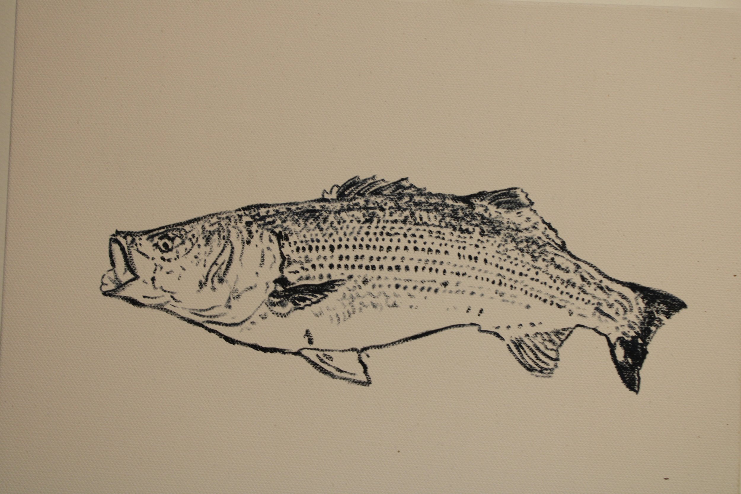 Striped Bass
oil on canvas               9 x 12                  400