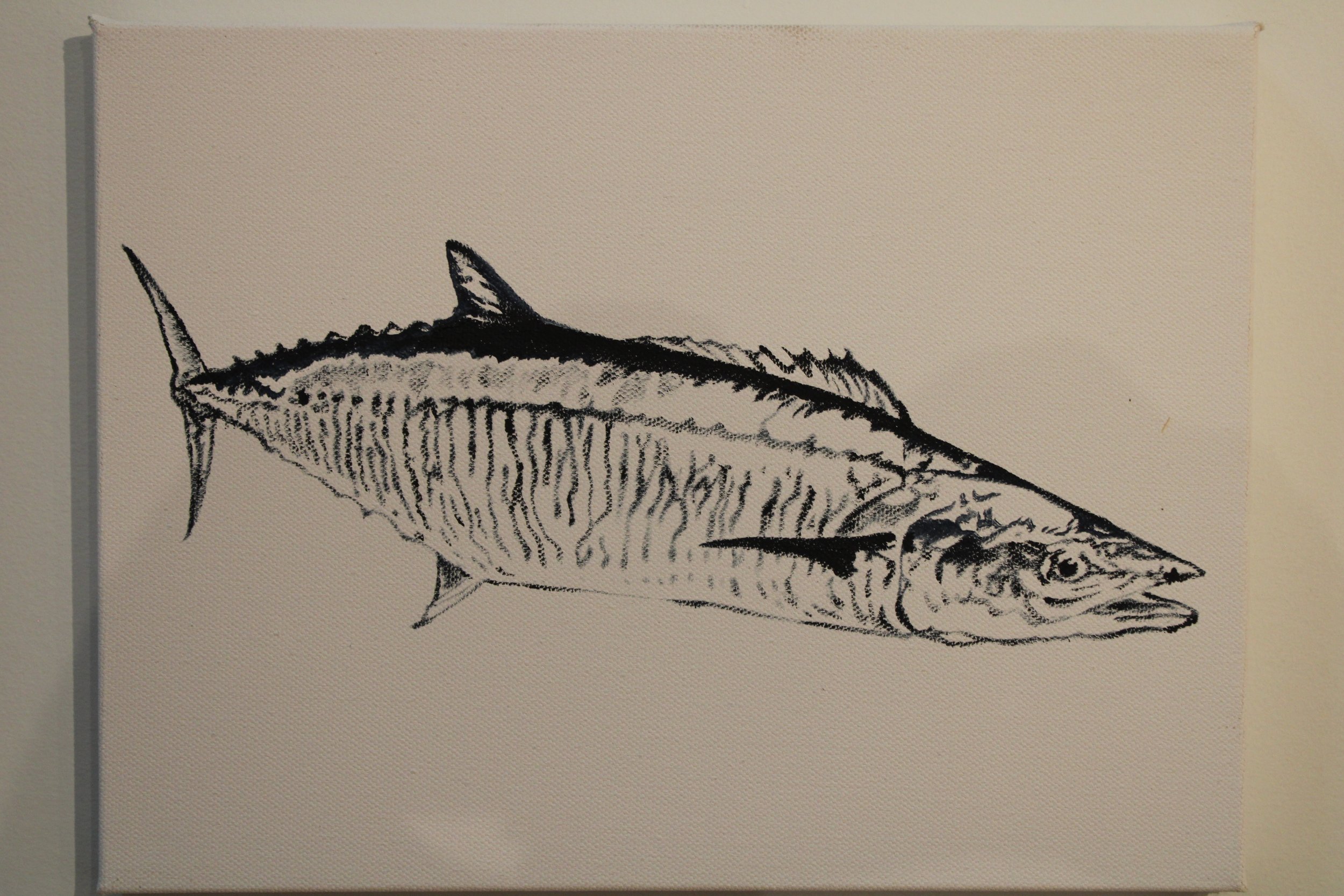 Spanish Mackerel
oil on canvas     9 x 12                        400