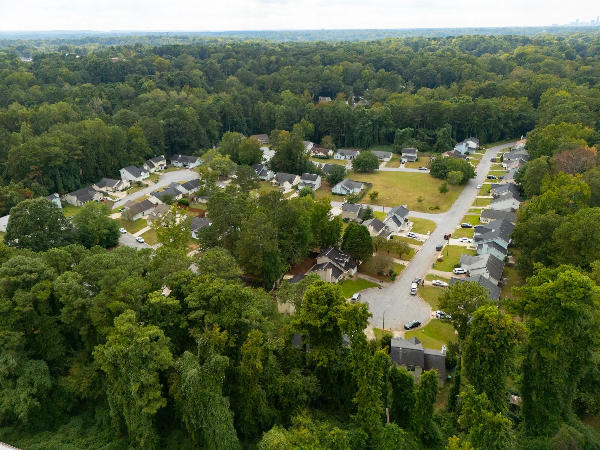 Peachcrest Trace Homeowners Associate-4.jpg
