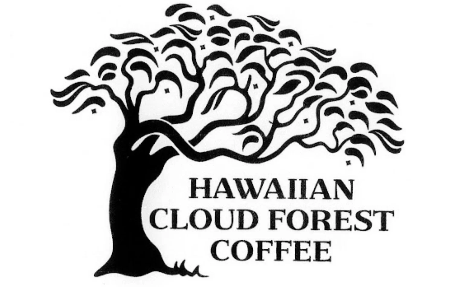 The Sun Valley Forum