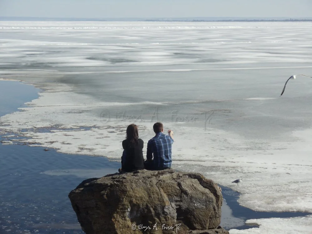 View 177 - a couple attempting to engage with a flying seagull while sitting on a rock overlooking a lake, Humanity, Wildlife, Lake Superior Minnesota USA, Summer 2014