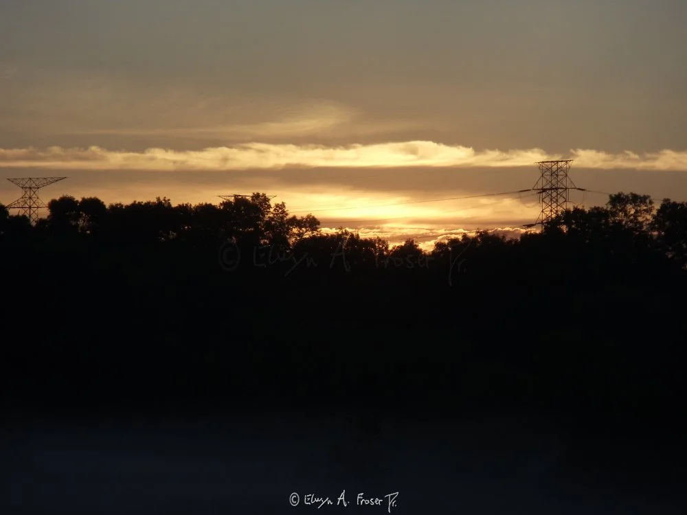View 227 - silhouetted trees and power lines against gold clouds of sunrise above morning mist, Wildlife, Humanity, Minnesota USA, Summer 2014
