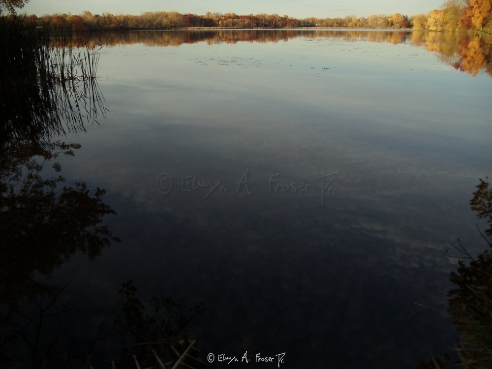 View 302 - white clouds of blue sky reflected by calm lake outlined by marsh grass and yellow leaves on trees, Wildlife, Beaver Lake Minnesota USA, Fall 2014