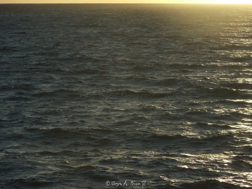 View 328 - choppy ocean waters glowing in sunlight, Wildlife, California USA, Fall 2014
