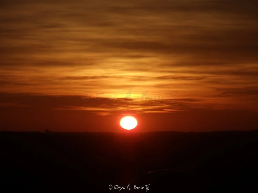 View 349 - sun cradled at dusk below glowing orange clouds and above barely visible silhouetted buildings, Wildlife, Minnesota USA, Winter 2014/2015