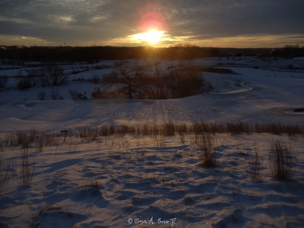 View 366 - sun piercing through cloudy sky upon snow covered hills and bare trees and tall grass, Wildlife, Minnesota USA, Winter 2014/2015