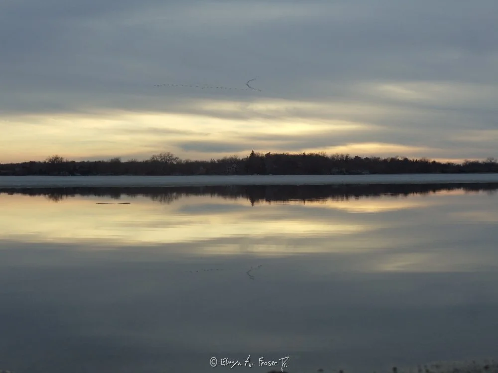 View 390 - distant migrating birds in V formation above calm reflective lake, Wildlife, Lake Minnewashta Regional Park Minnesota USA, Spring 2015