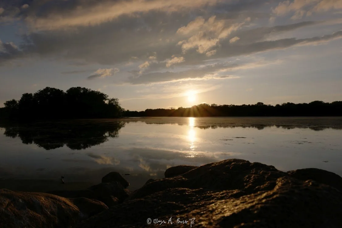 View 449 - reflective lake under partially cloudy sky at dusk, Wildlife, Scott County Minnesota USA, Summer 2015