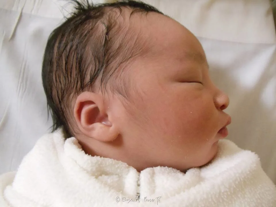 View 481 - infant with black hair sleeping in white cloth, Humanity, Maplewood Minnesota USA, Summer 2015