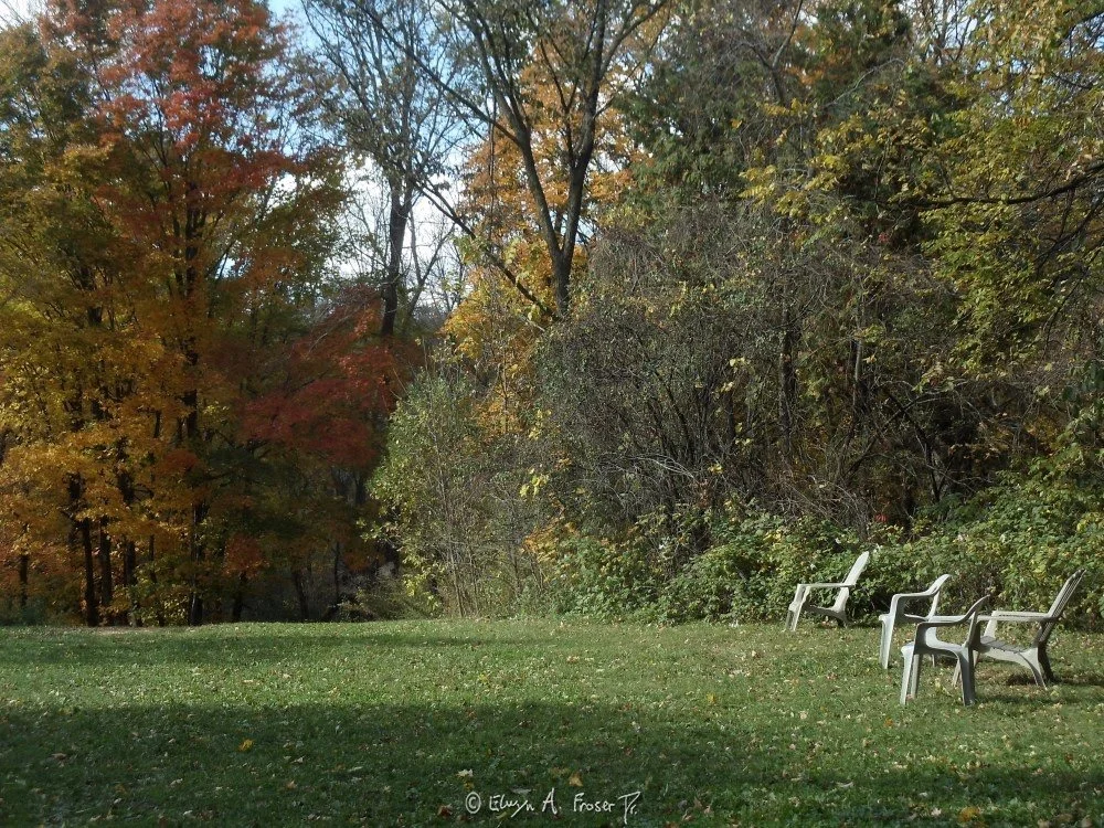 View 482 - emerging colors in tree leaves near empty chairs, Wildlife, Lake Minnewashta Regional Park Minnesota USA, Fall 2015