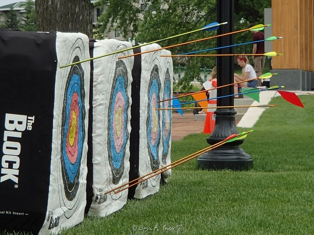 View 501 - archery arrows in practice block targets, Humanity, Firemen's Park Minnesota USA, Summer 2016