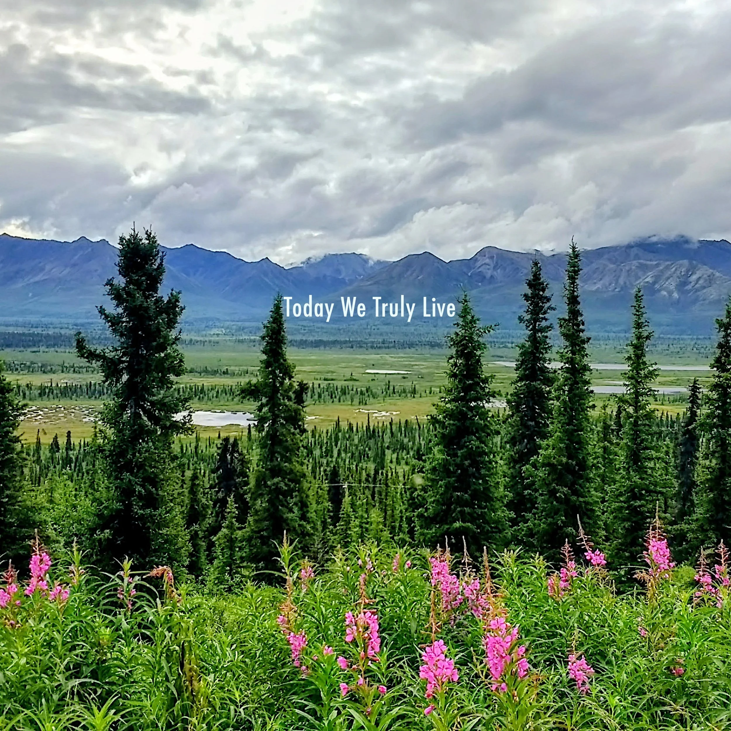 Today We Truly Live - cover art